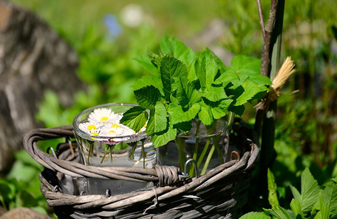 Kräuterspaziergang Mai –  Blüten und Blätter betören durch Duft und Aroma