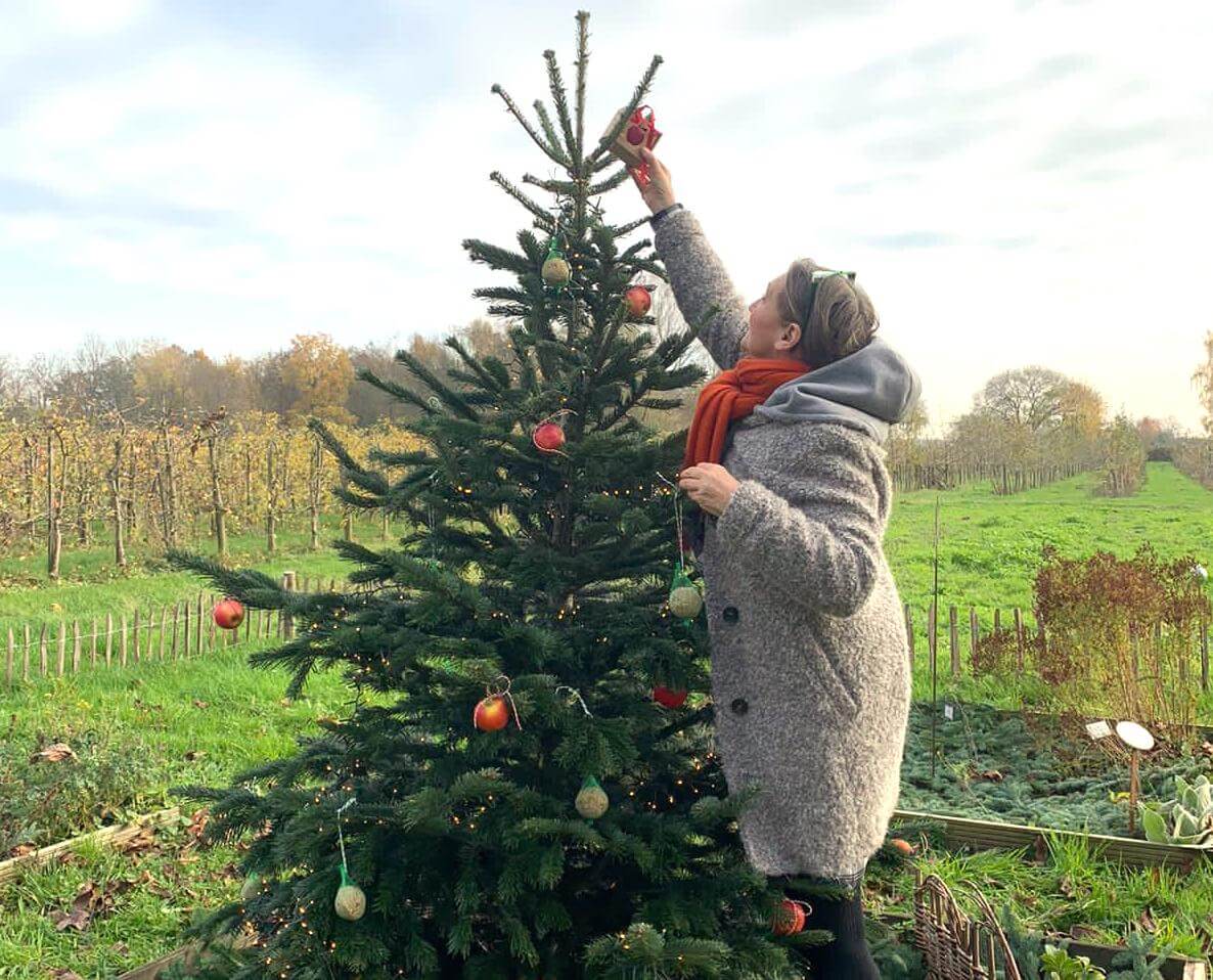Weihnachtsbaum für die Tiere