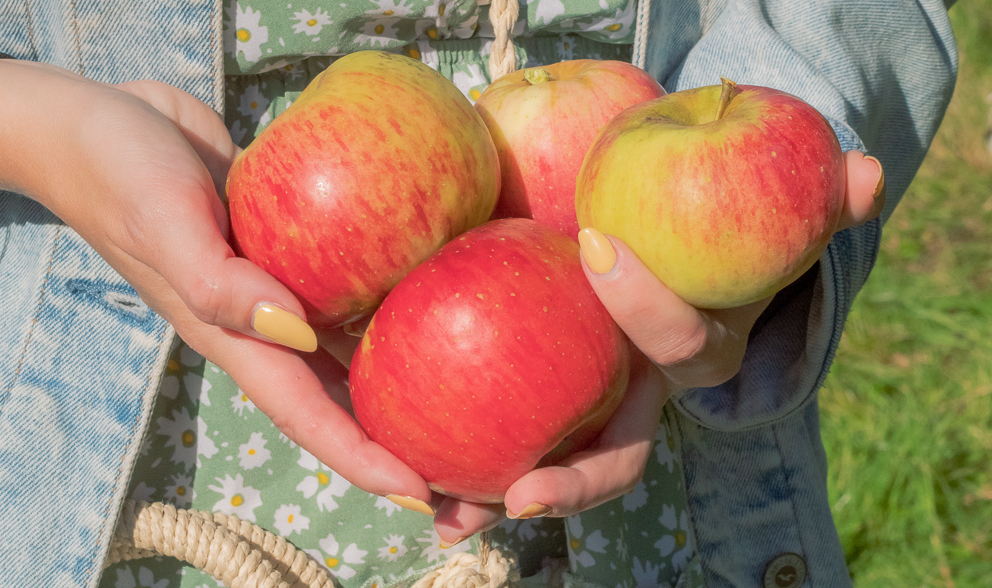 Bild: Topaz Äpfel in Hand
