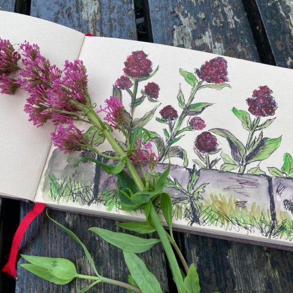 Kunst-Workshop: Greensketching