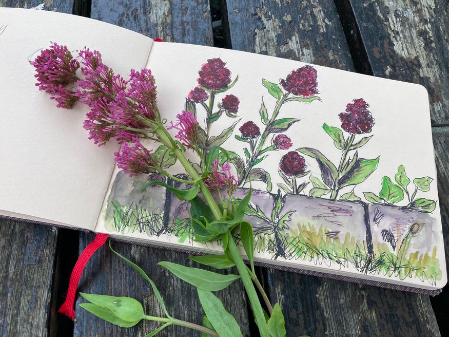 Kunst-Workshop: Greensketching